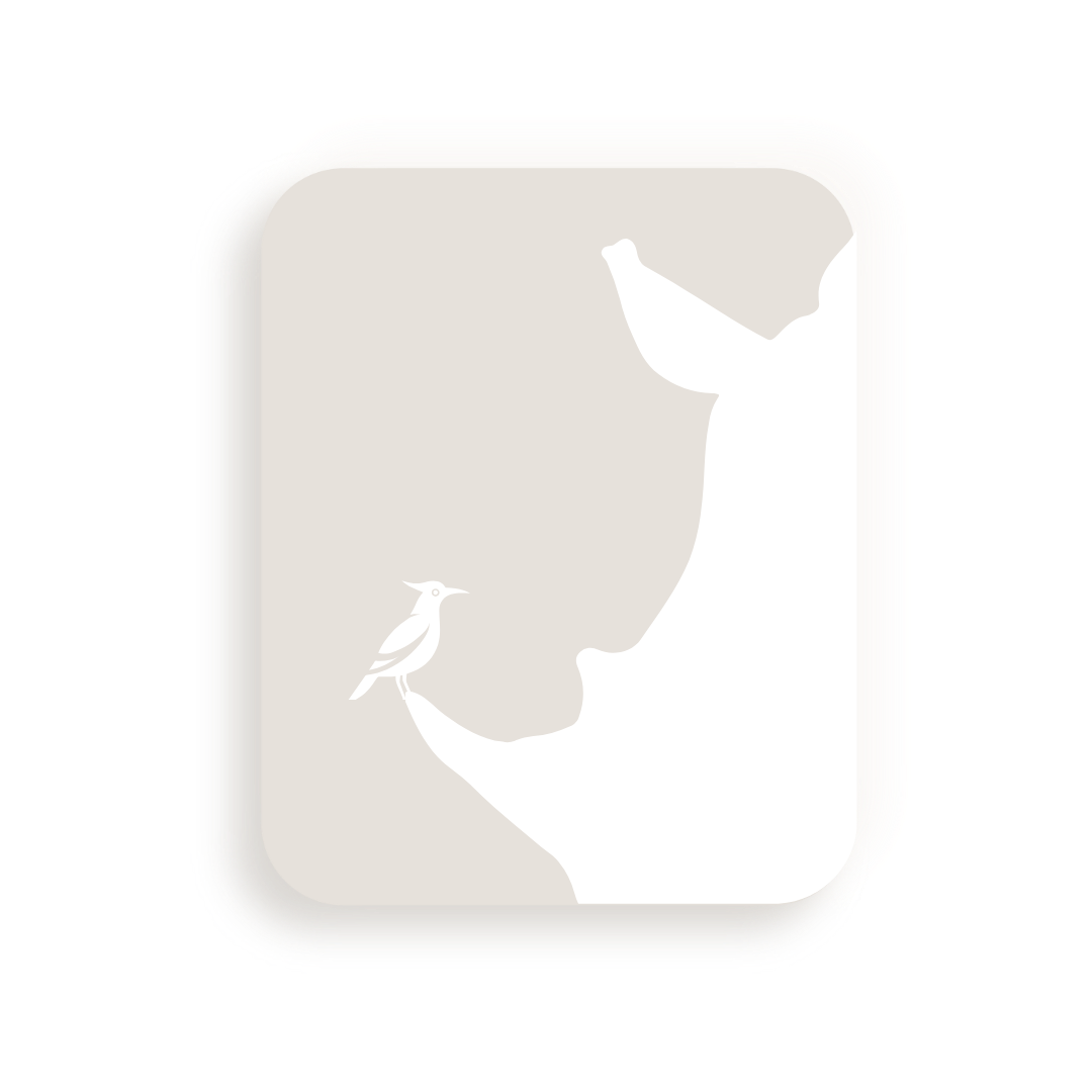 MubeSystems